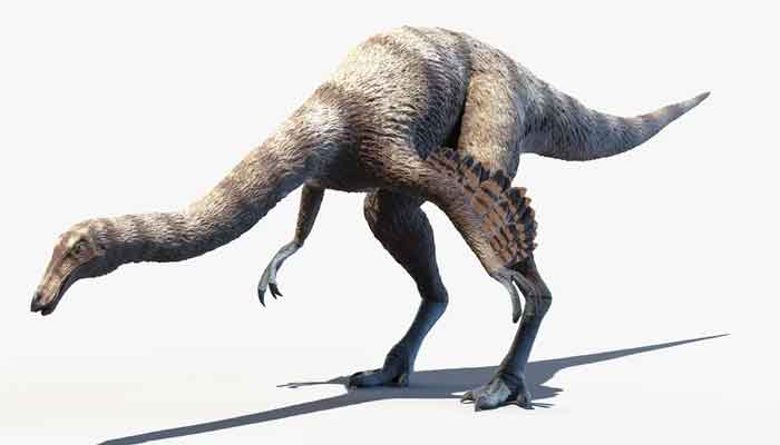 The ostrich-like dinosaur Ornithomimus, in the Ornithomimosauria group, may have been one of the speediest dinosaurs. — Science Photo Library/File