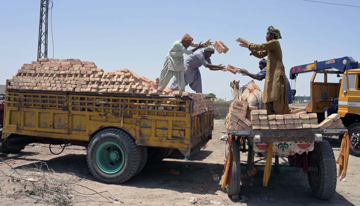 Labourers are loading bricks on a camel cart in Hyderabad on April 1, 2024. — APP