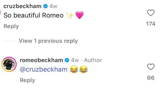 Romeo and Cruz Beckham troll Brooklyns wife Nicola Peltz amid family feud