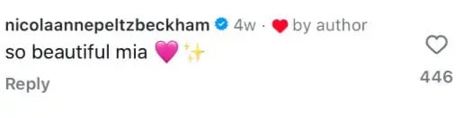 Romeo and Cruz Beckham troll Brooklyns wife Nicola Peltz amid family feud