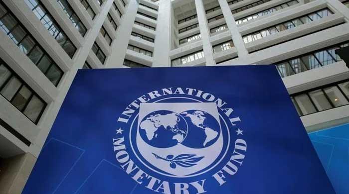 IMF sees no revenue from privatisation for Pakistan before 2030