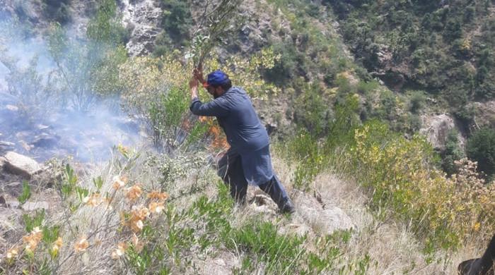 Severe heatwave sparks forest fires across eight locations in KP