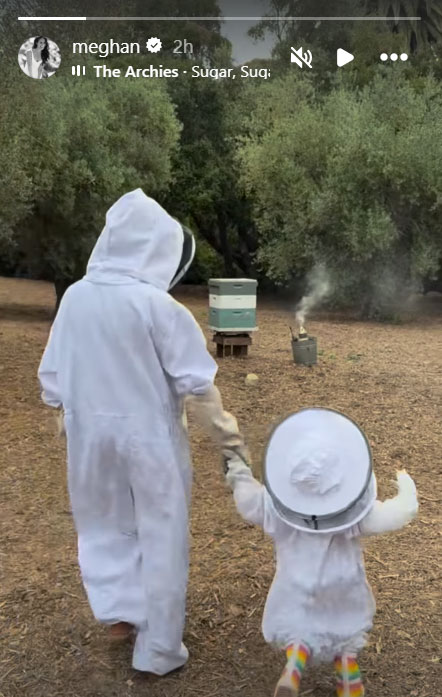 Meghan Markle tiptoes around bees with Princess Lilibet: Photo