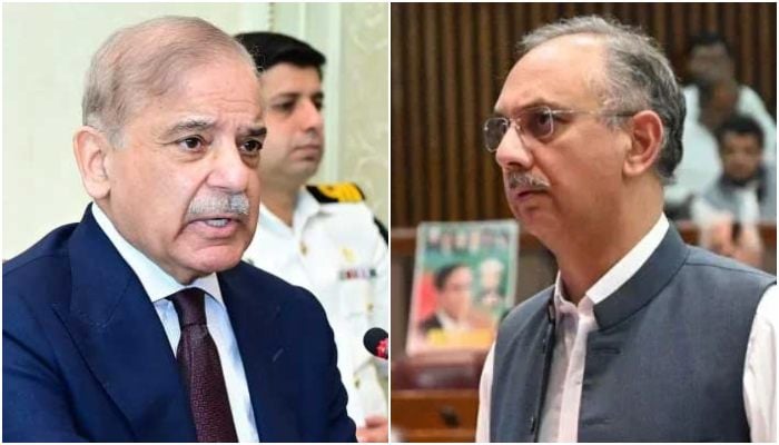 A collage showing PM Shehbaz Sharif (left) and PTIs Opposition Leader Omar Ayub. — Facebook@Mian Shehbaz Sharif/Omar Ayub Khan/File
