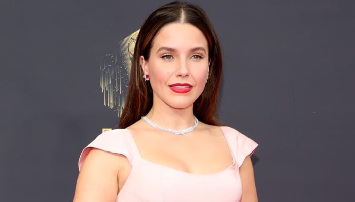 Photo: Sophia Bush reveals suffering every kind of abuse from older man