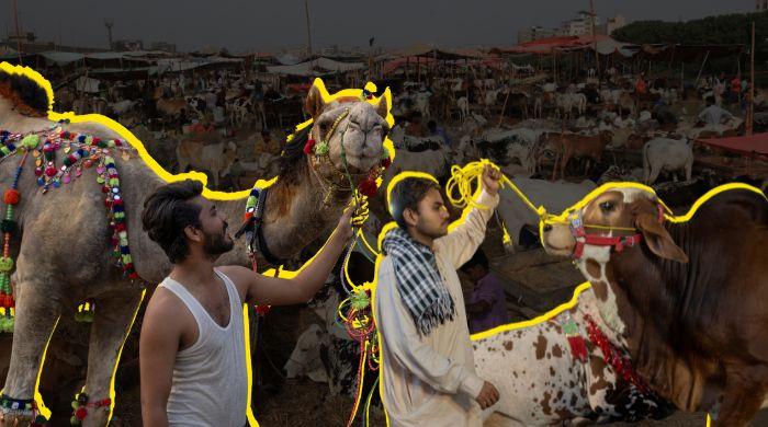 Eid ul Adha: More than meat, deeper than feast