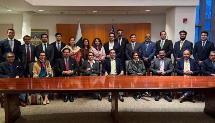 The high-level Pakistani diplomatic delegation members posing for a photo in New York, USA, on June 7, 2025. — Facebook/@BilawalBhuttoZardariPk