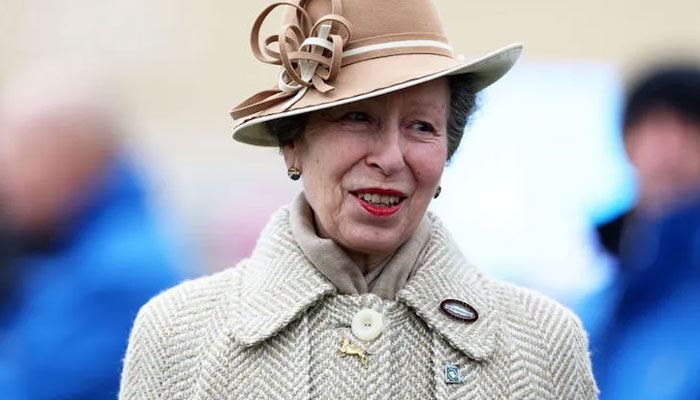 Plans for Princess Annes birthday come to light