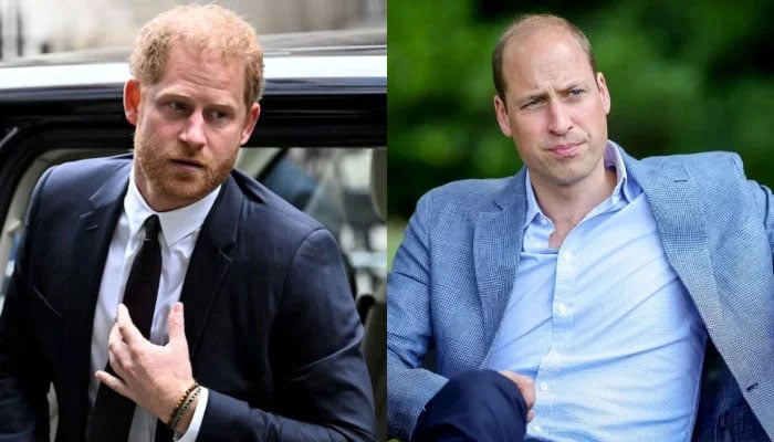 Prince William sends subtle message to Prince Harry with united front