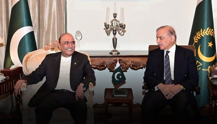 Prime Minister Shehbaz Sharif calls on President Asif Ali Zardari at Aiwan-e-Sadr on June 17, 2025. — PPP/@MediaCellPPP
