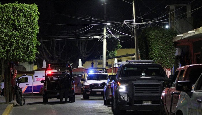 Security forces are seen at a scene where Celayas mayor candidate for the ruling party Morena, Bertha Gisela Gaytan, was killed by unknown assailants during a campaign rally, in San Miguel Octopan, Guanajuato state, Mexico, April 1, 2024. — Reuters