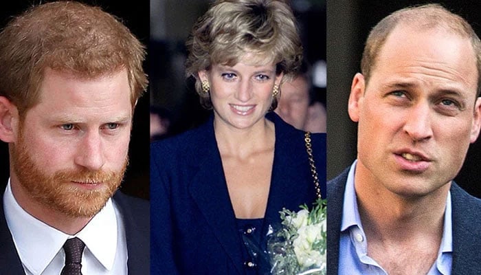 Princess Diana would have been heartbroken over William, Harry feud, trainer