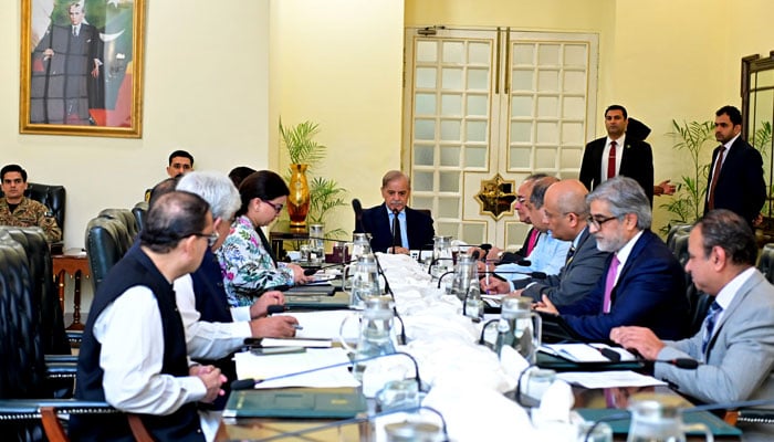 PM chairs a meeting on cashless economy and digitisation in Islamabad on June 18, 2025. — PID
