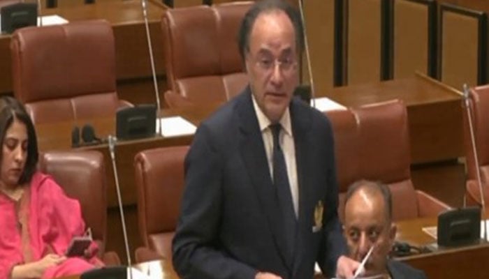 Finance Minister Muhammad Aurangzeb speaks during a Senate session on June 21, 2025. — Screengrab via Geo News