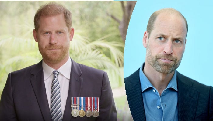 Prince Harry, Prince William’s relationship hits a snag