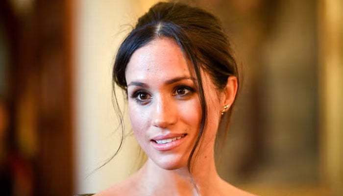 Meghan Markle used ‘social contacts to get success