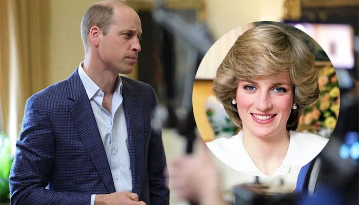 Princess Diana knew Prince William was not equipped for THIS role