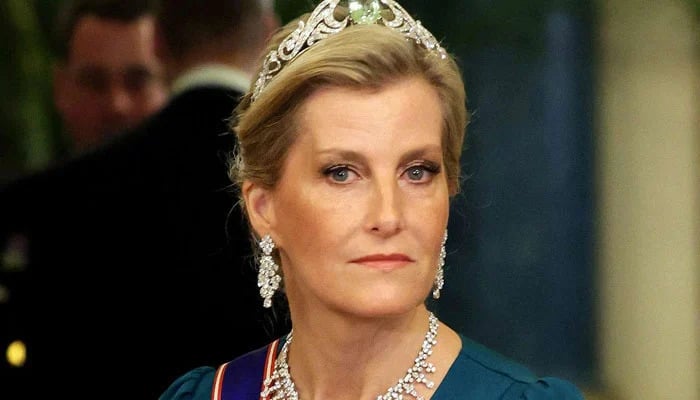 Sophie Wessex future in Royal Family laid bare