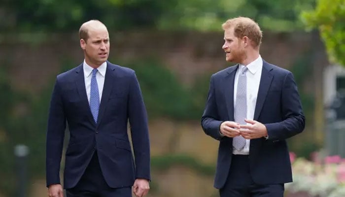 Prince William tries to ‘fill gap’ left by brother Prince Harry