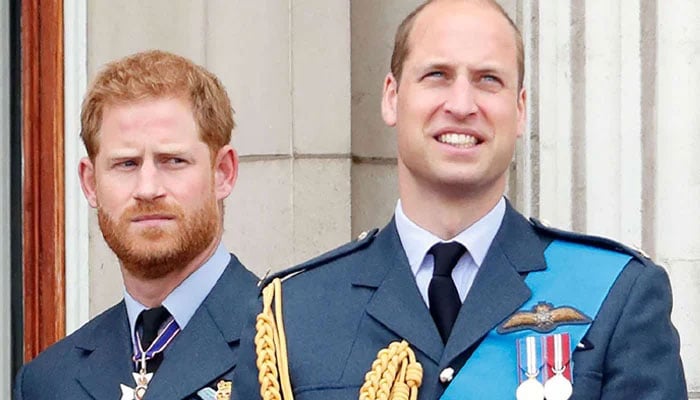 Prince William’s stance on royal roles sparks fresh tensions with Harry