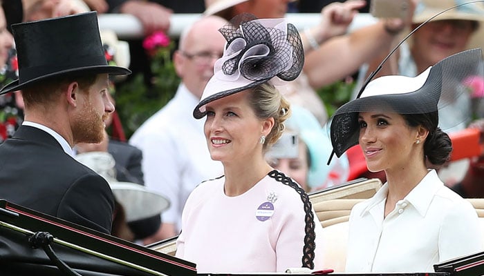 Duchess Sophie takes the lead after Harry, Meghan royal exile
