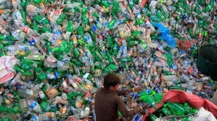 Green Credit Programme: Punjab govt to pay citizens in exchange for plastic bottles