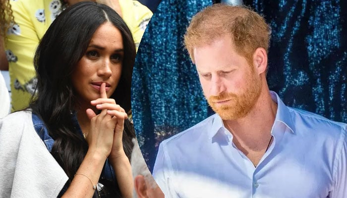 Prince Harry, Meghan Markle are now fighting for their bare survival