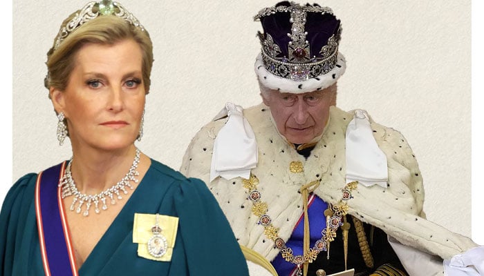 Duchess of Edinburgh delivers the public a message on behalf of sick King Charles