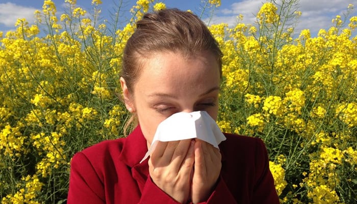 This representational image shows a person experiencing allergy symptoms. — Pixabay