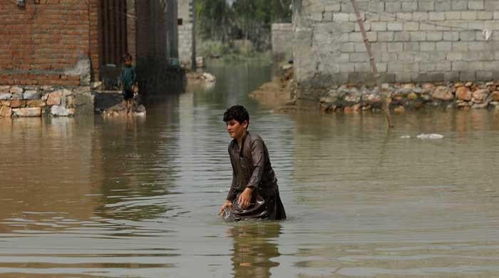 Climate hypocrisy