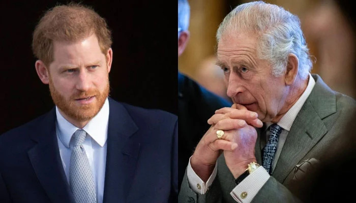 Prince Harry worries resources will ‘run dry without King