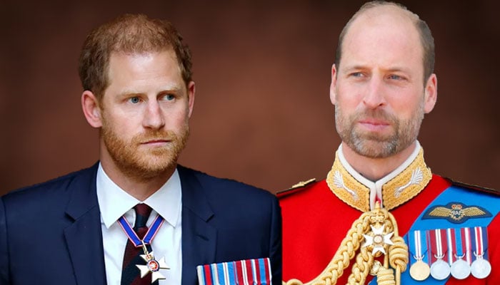 Prince Harry handed a big warning about cementing his future with the Firm