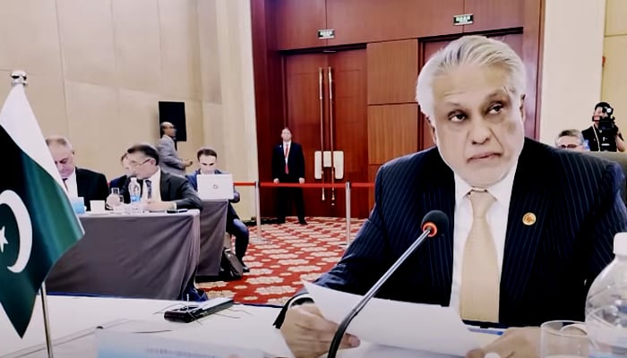 Deputy Prime Minister and Foreign Minister Ishaq Dar addresses the meeting of SCO Council of Foreign Ministers, on July 15, 2025in Tianjin, China. — Screengrab via YouTube/Geo News
