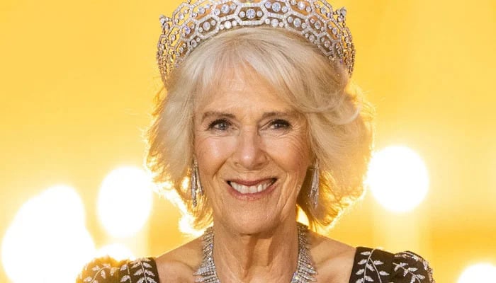 Queen Camilla has no room of ‘mercy for stepson Harry