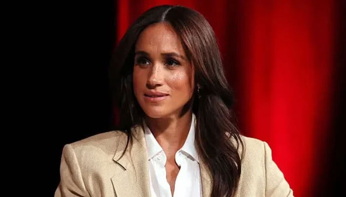 Meghan Markle fails to ‘grasp’ social media, slams expert
