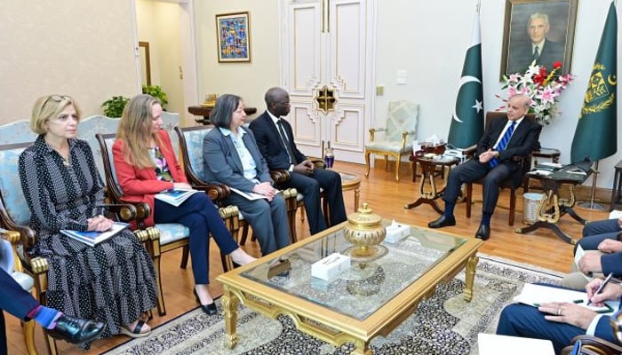 Regional Vice President of the World Bank Ousmane Dione (centre left) called on Prime Minister Muhammad Shehbaz Sharif in Islamabad on July 24, 2025. — APP