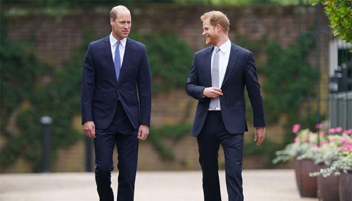 Prince Harry finally offers olive branch to brother William with sincere move