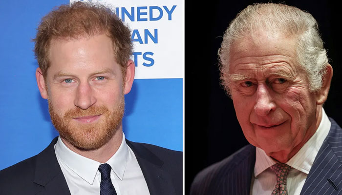 Prince Harry realises ‘teamwork benefits with King Charles