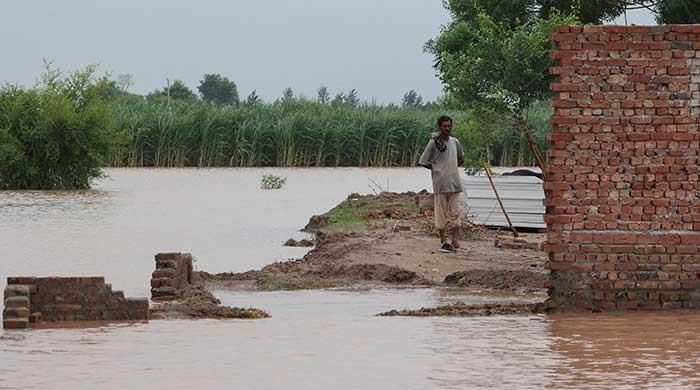 Body set up to develop strategies to boost resilience against extreme weather events