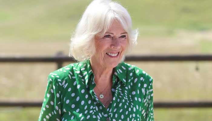How Queen Camilla inspired journalist with her brilliance