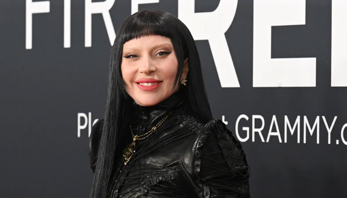 Lady Gaga abruptly cancels Miami show before start time