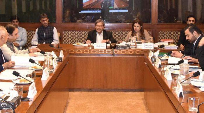 Senate panel seeks PM Shehbaz's view on women's representation in CCI