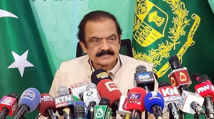 PML-N's Rana Sanaullah wins Senate by-election in Punjab