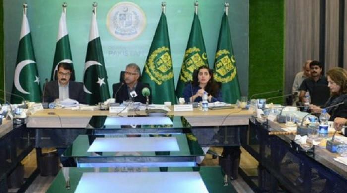 Senate committee rules 372 Peca cases illegal, orders immediate withdrawal