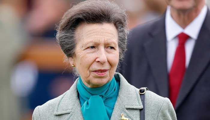 Princess Anne dubbed best value for money for Royals