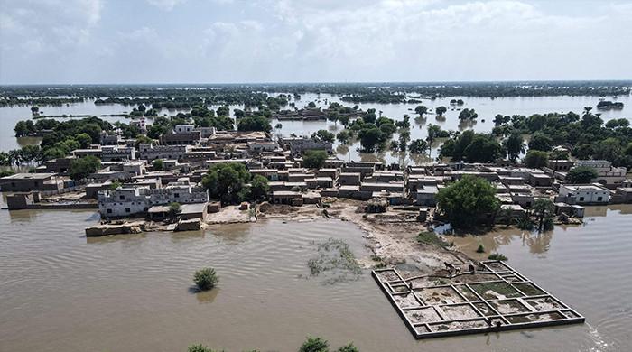 'Pakistan will have to adapt to floods as the new normal'