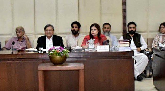 Senate panel okays bill seeking raise in minimum diyat amount