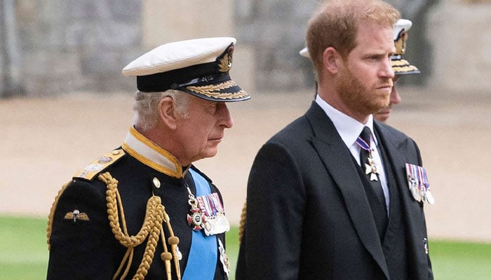 Prince Harry handled well meeting with King Charles