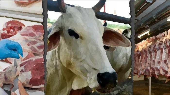 Pakistan's beef deepens its bite in China's market — but can the taste last?