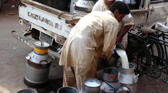 Karachi dairy farmers demand Rs50 per litre hike in milk prices